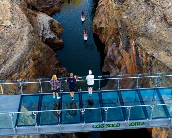 Aerial view of guests on glass bridge at Cobbold Gorge