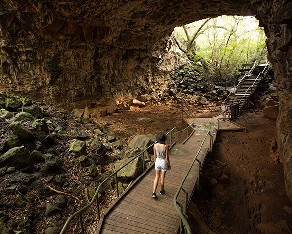 Savannah Way Adventure Pass